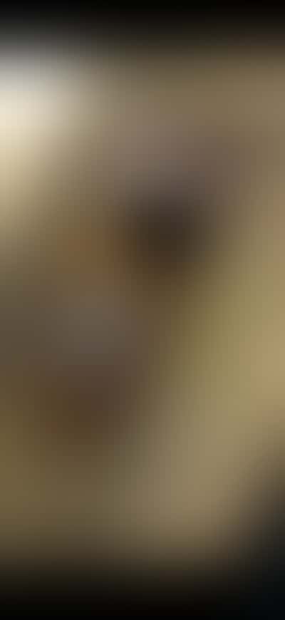Looking for adventurous couple for intimate encounters