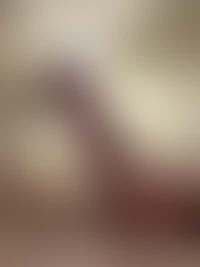 Looking for couple fun MSC Seashore