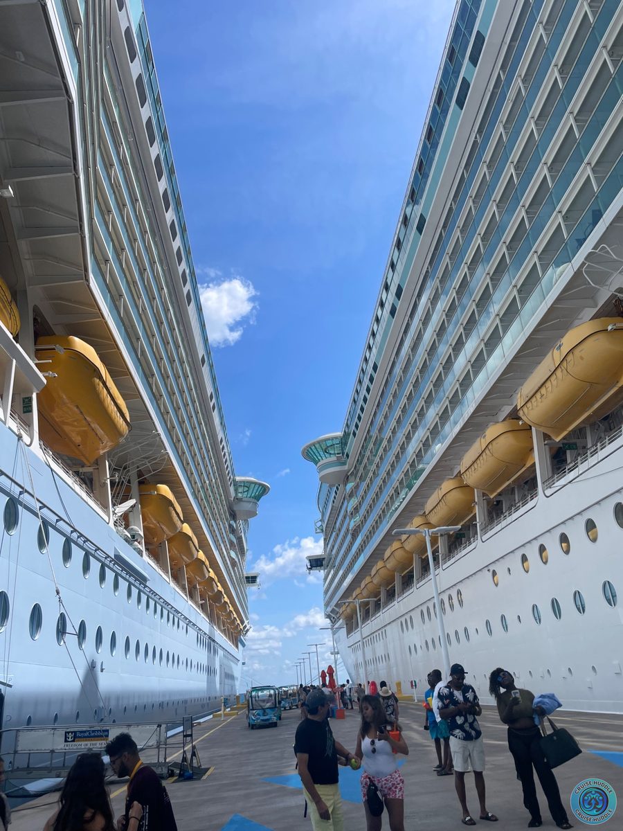 Single guy seeking sultry nights and decadent delights on the Norwegian Getaway