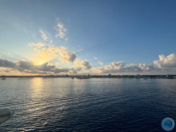 Freedom of the Seas sailing