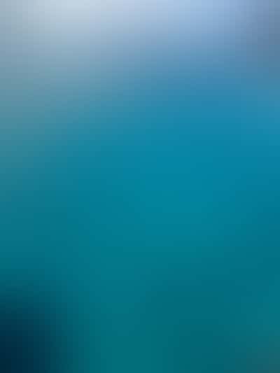 Test test