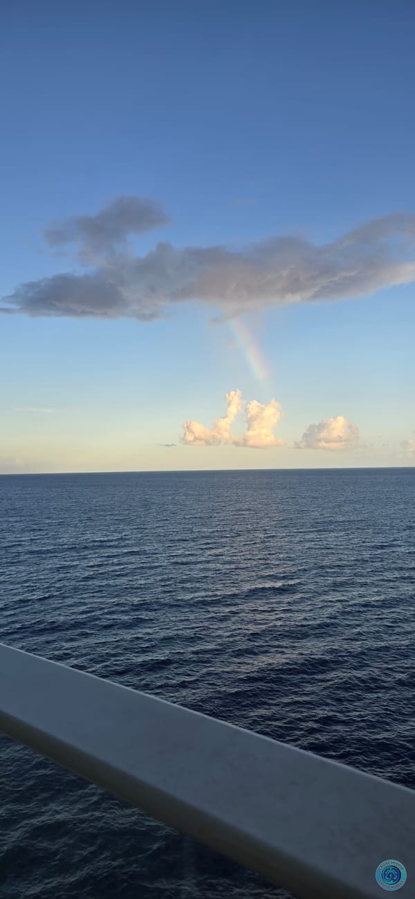 Solo cruise