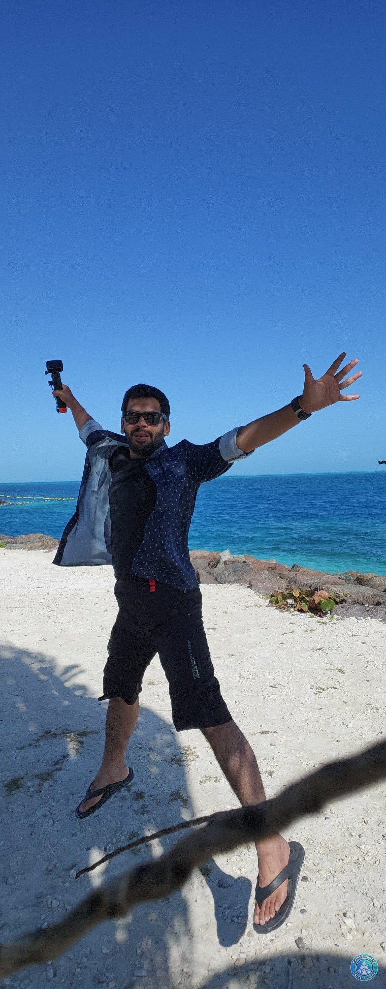 Single Guy Seeks Fun Loving Friends for Wild Seascape Nights
